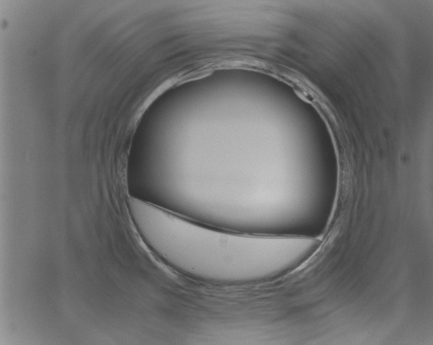 X0000066541385200603311834