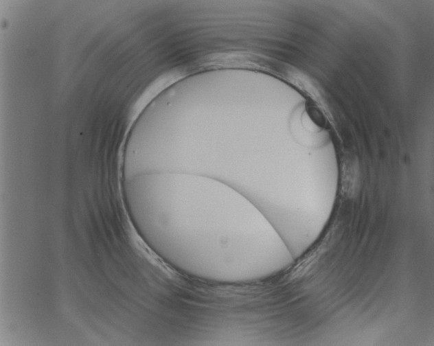 X0000066541386200603311834