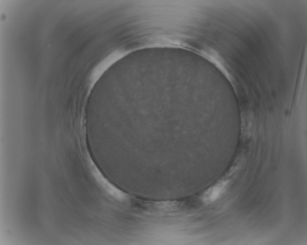 X0000066541387200603311834