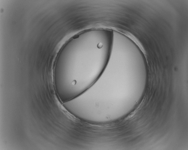 X0000066541388200603311834