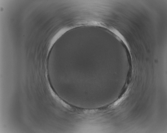 X0000066541389200603311834