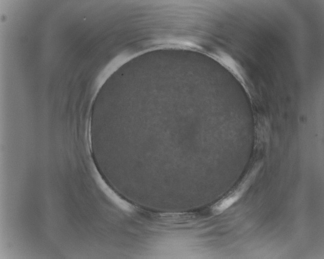 X0000066541391200603311834