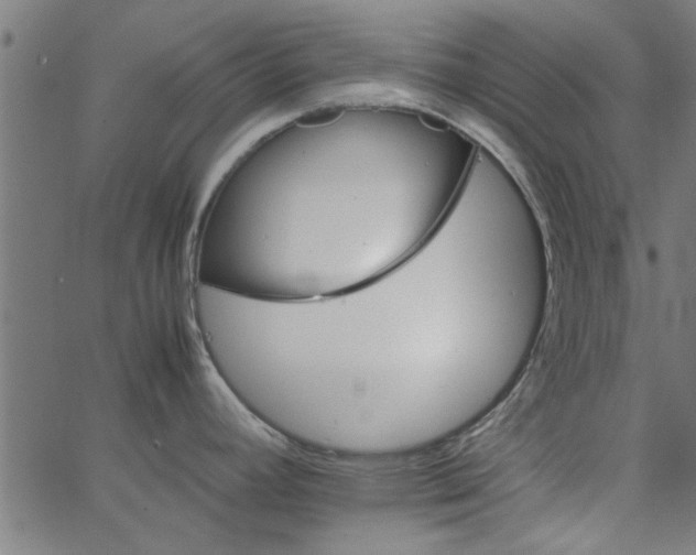 X0000066541392200603311834