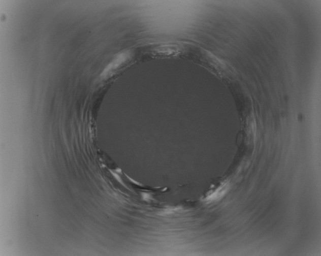 X0000066541394200603311833