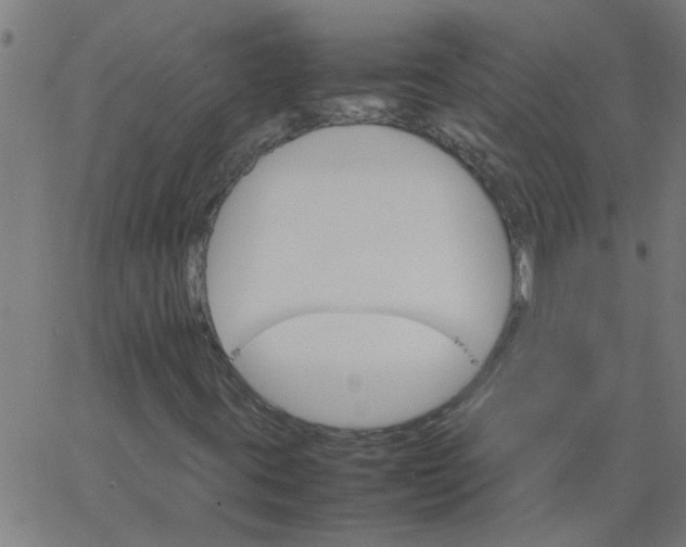 X0000066541395200603311833