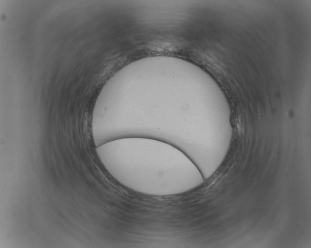 X0000066541396200603311833