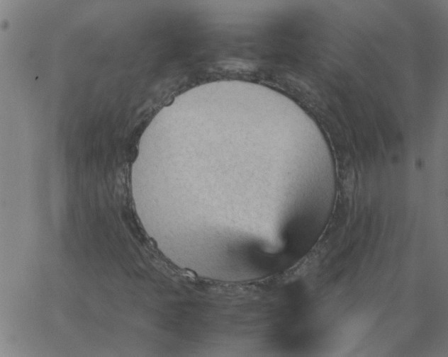 X0000066541397200603311833