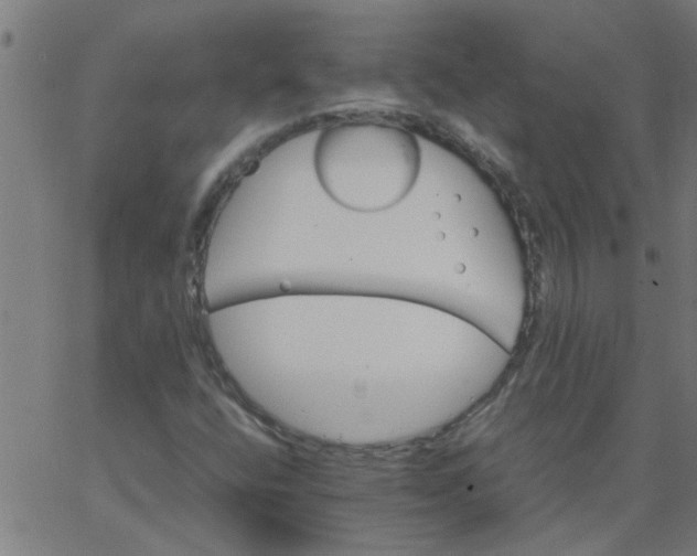 X0000066541400200603311833