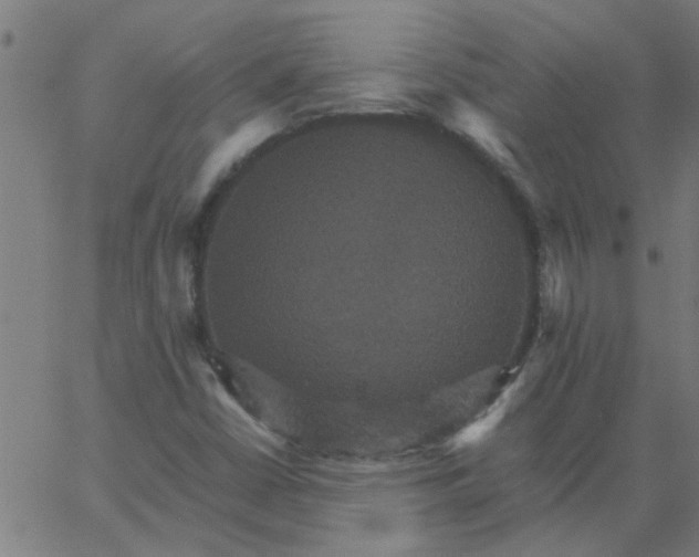 X0000066541402200603311833