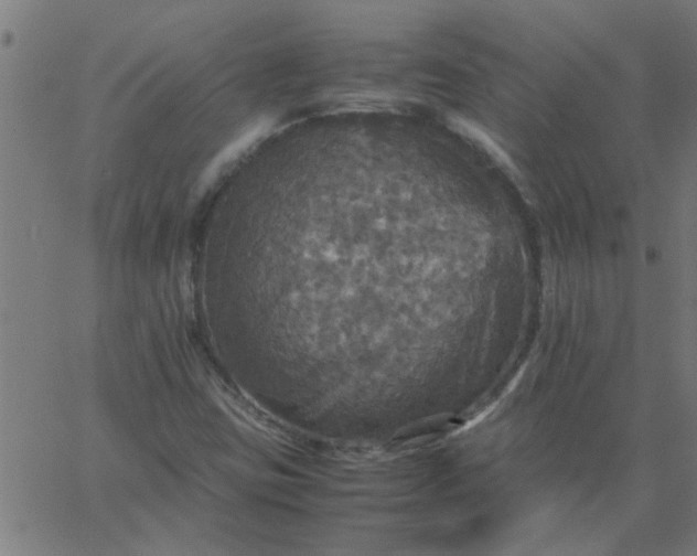 X0000066541403200603311833