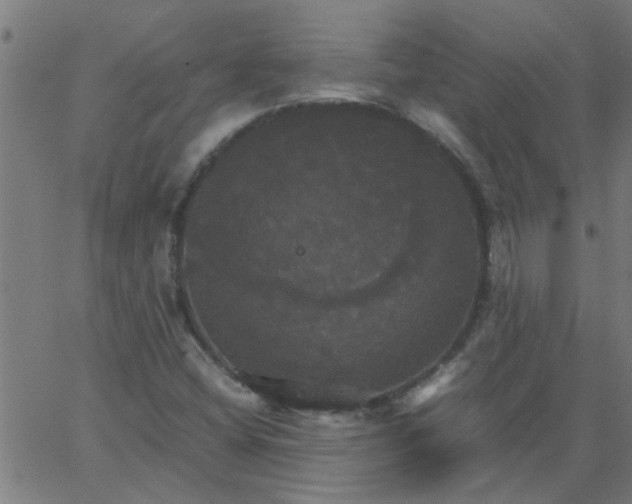 X0000066541404200603311833