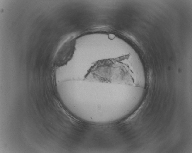 X0000066541405200603311833