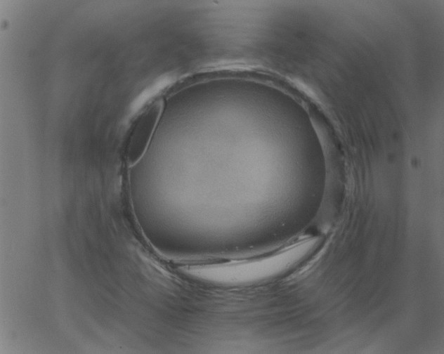 X0000066541406200603311833