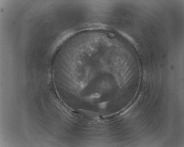 X0000066541407200603311833