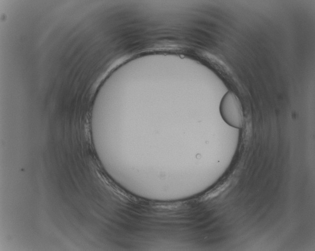 X0000066541409200603311833