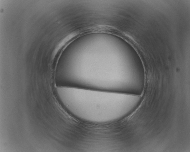 X0000066541410200603311833