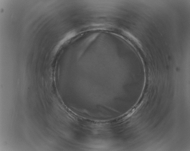 X0000066541411200603311833