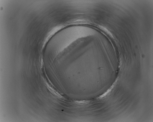 X0000066541413200603311833