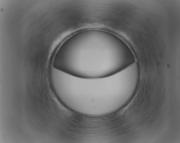 X0000066541414200603311833