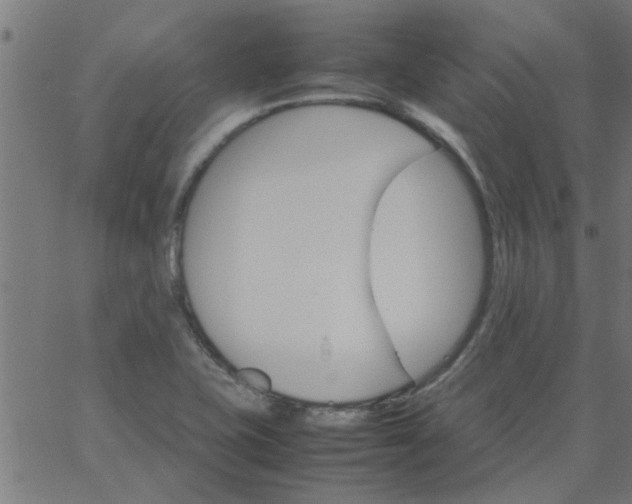 X0000066541415200603311833