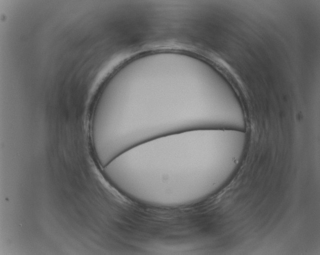 X0000066541416200603311833