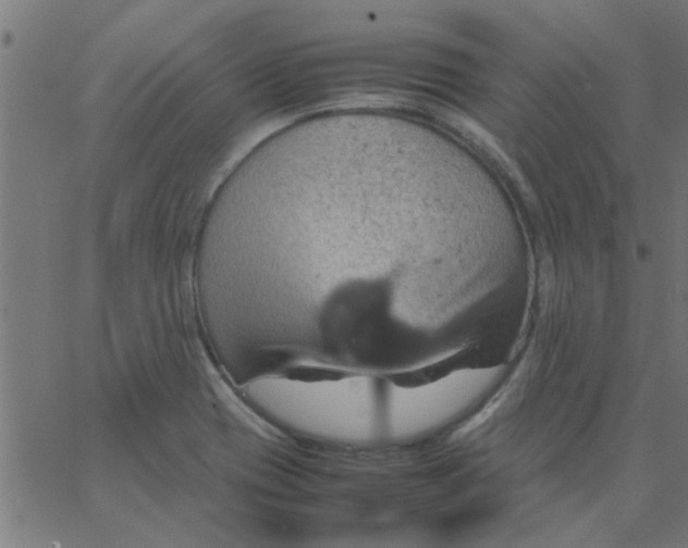 X0000066541417200603311834