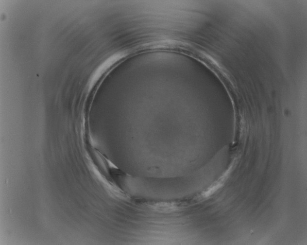 X0000066541418200603311834