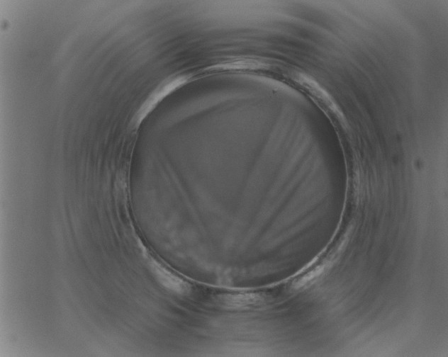 X0000066541425200603311834