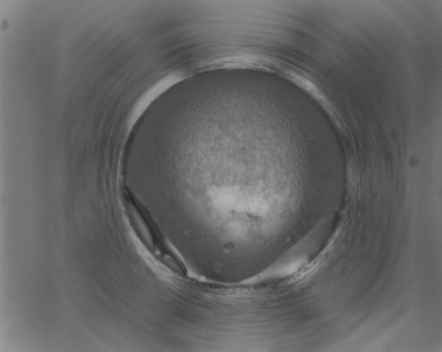 X0000066541426200603311834