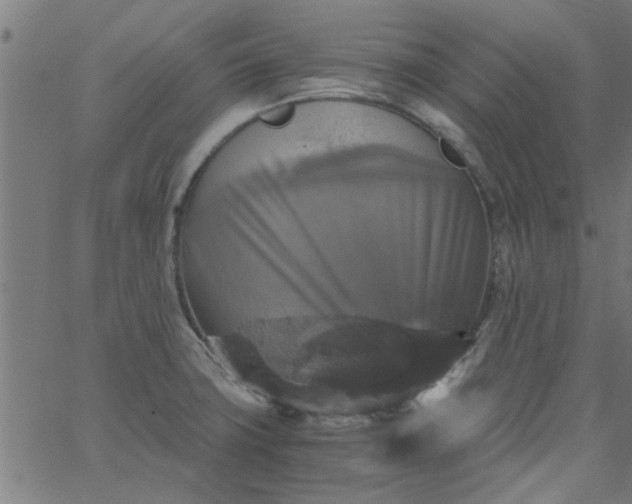 X0000066541427200603311834