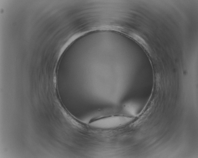 X0000066541428200603311834