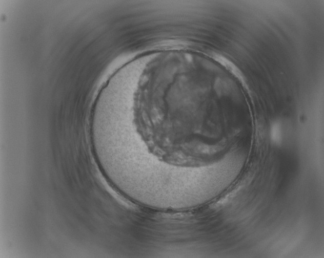 X0000066541429200603311834