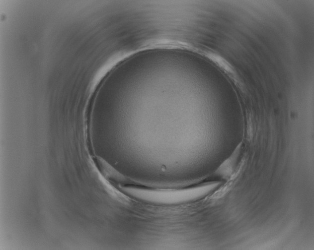 X0000066541430200603311834