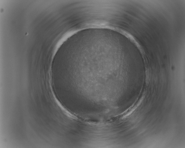 X0000066541432200603311834