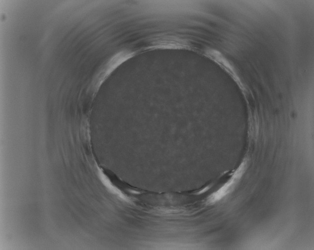 X0000066541433200603311834