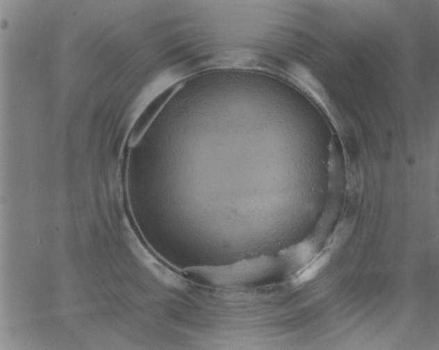 X0000066541434200603311834