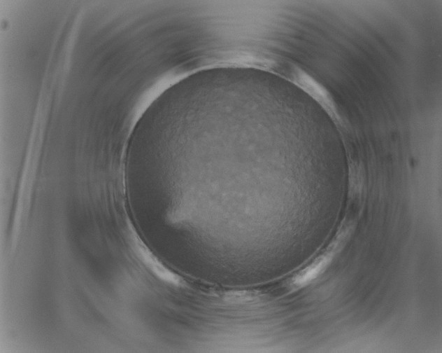 X0000066541436200603311834