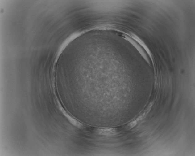 X0000066541437200603311834