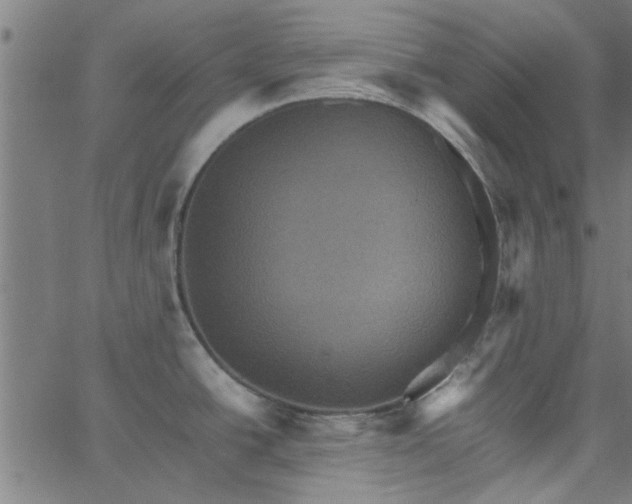 X0000066541438200603311834