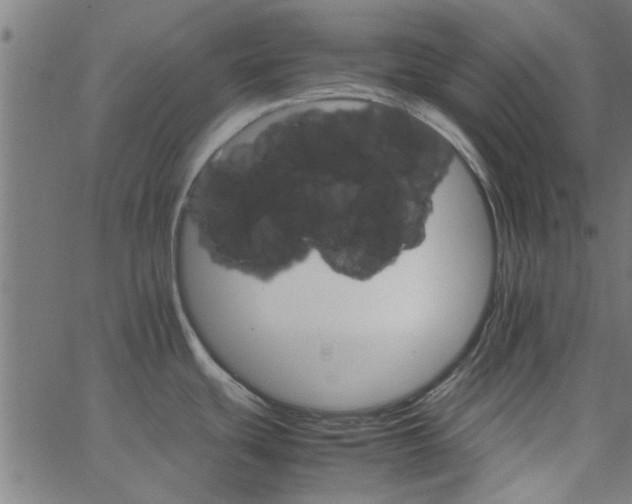 X0000066541439200603311834