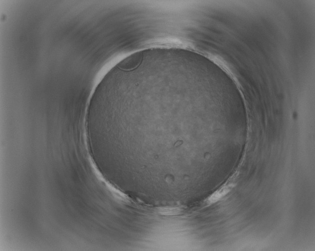 X0000066541440200603311834