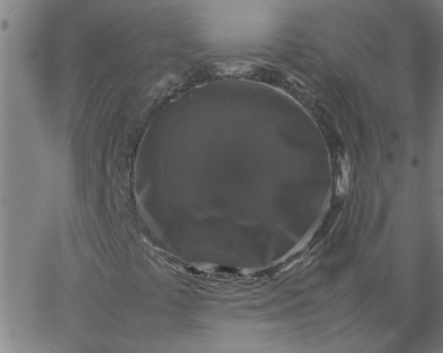 X0000066541441200603311833