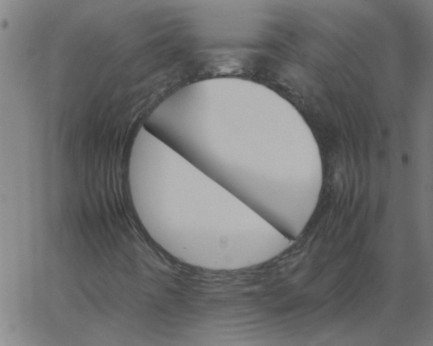 X0000066541442200603311833