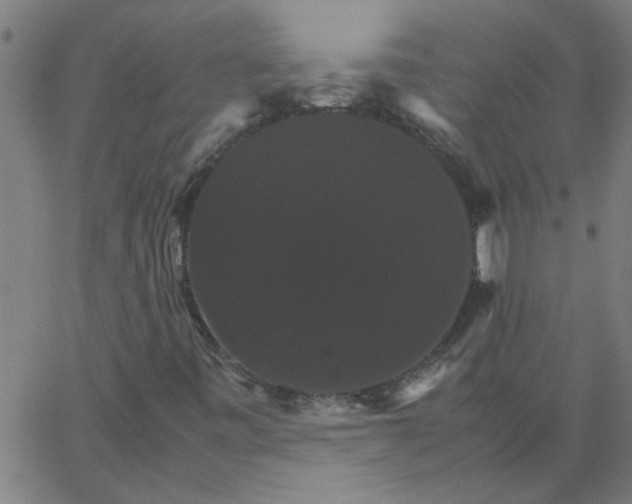 X0000066541443200603311833