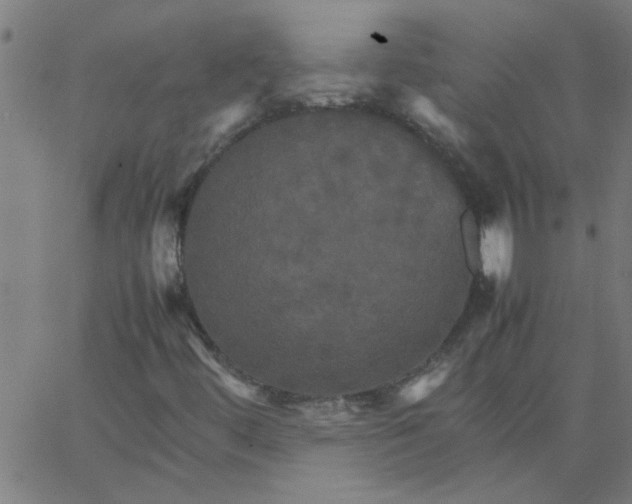 X0000066541444200603311833