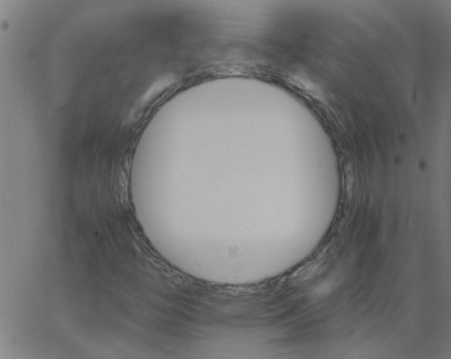 X0000066541446200603311833