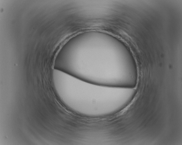 X0000066541449200603311833