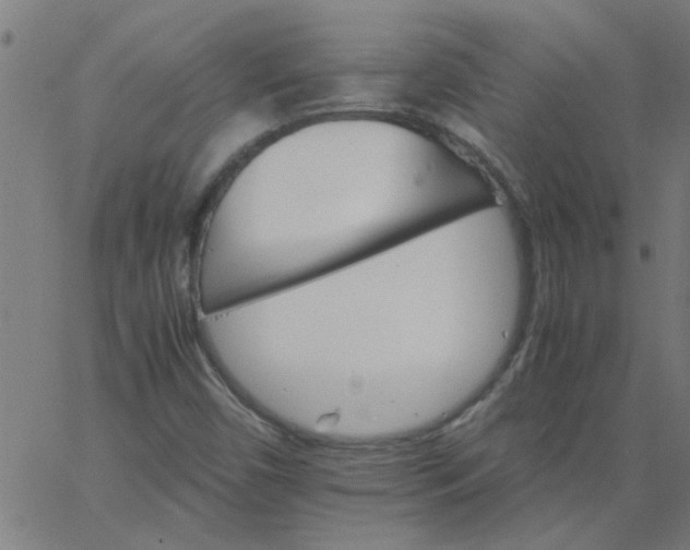 X0000066541450200603311833