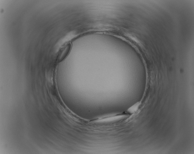 X0000066541451200603311833