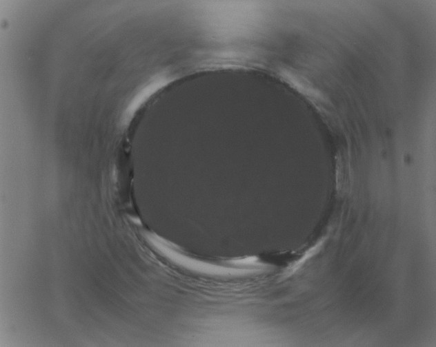 X0000066541453200603311833